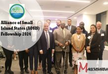 Alliance of Small Island States (AOSIS) Fellowship 2024