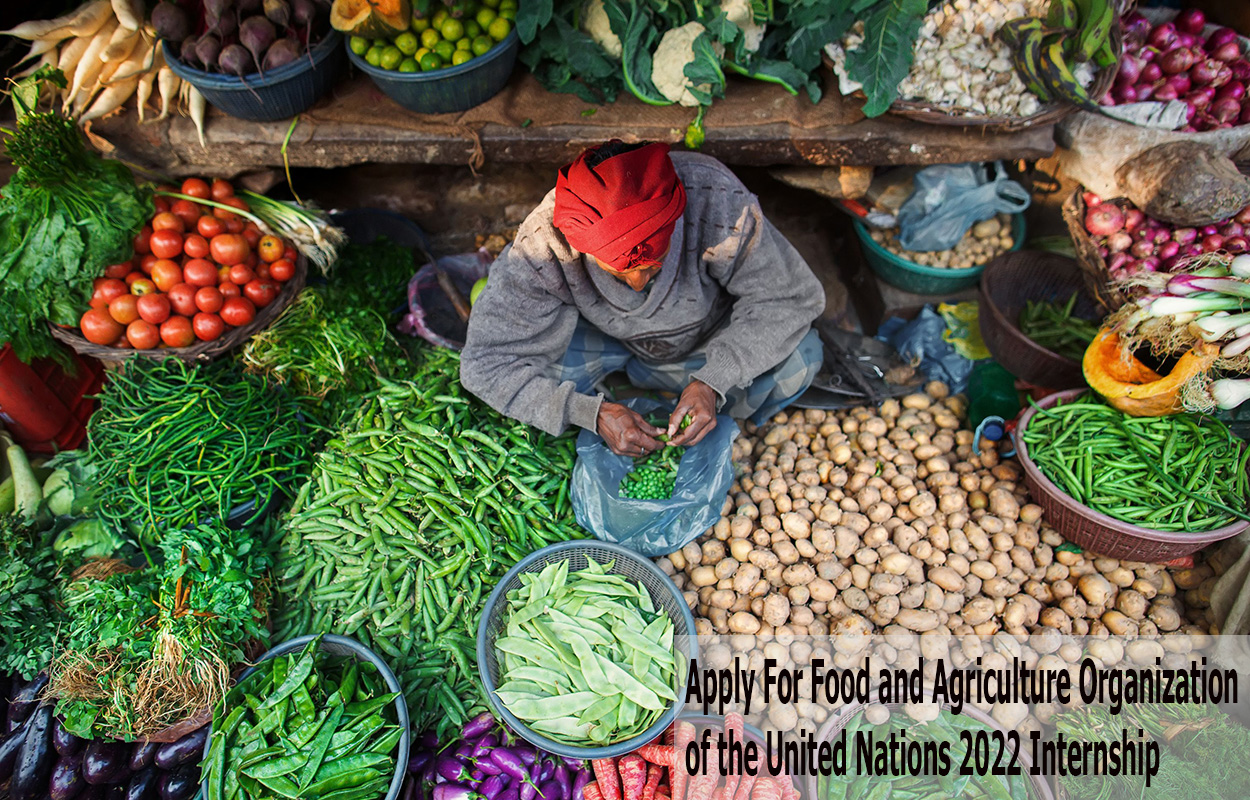 Apply For Food and Agriculture Organization of the United Nations 2022 Internship