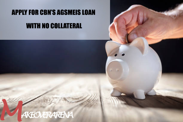 Apply for CBN’s AGSMEIS Loan with No Collateral