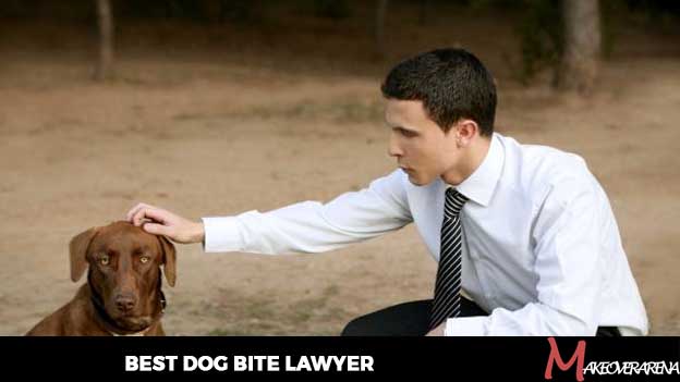 Best Dog Bite Lawyer