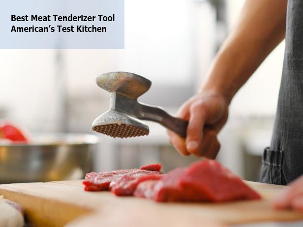 Best Meat Tenderizer Tool American’s Test Kitchen