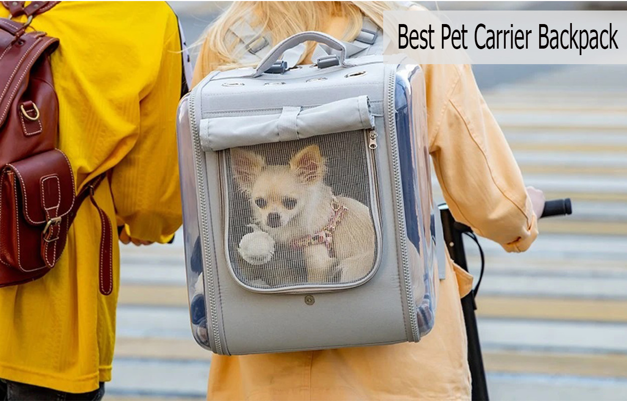  Best Pet Carrier Backpack