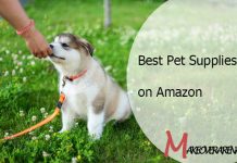 Best Pet Supplies on Amazon