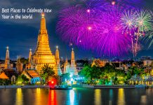 Best Places to Celebrate New Year in the World