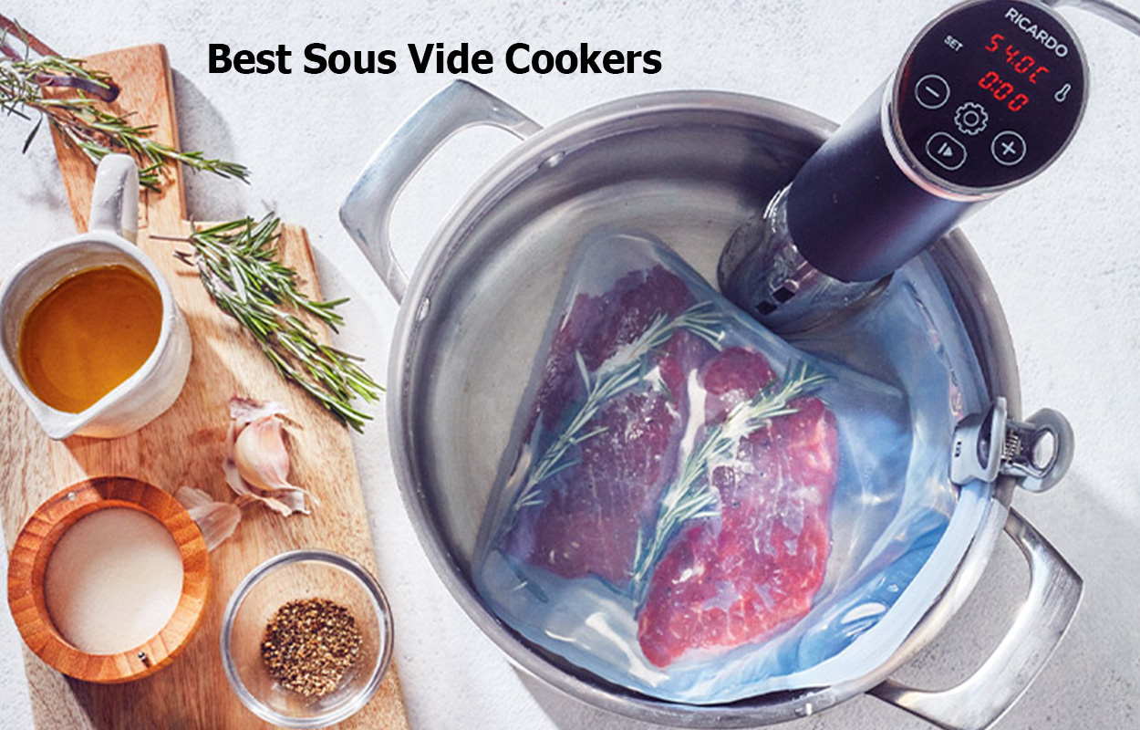 Best Sous Vide Cookers