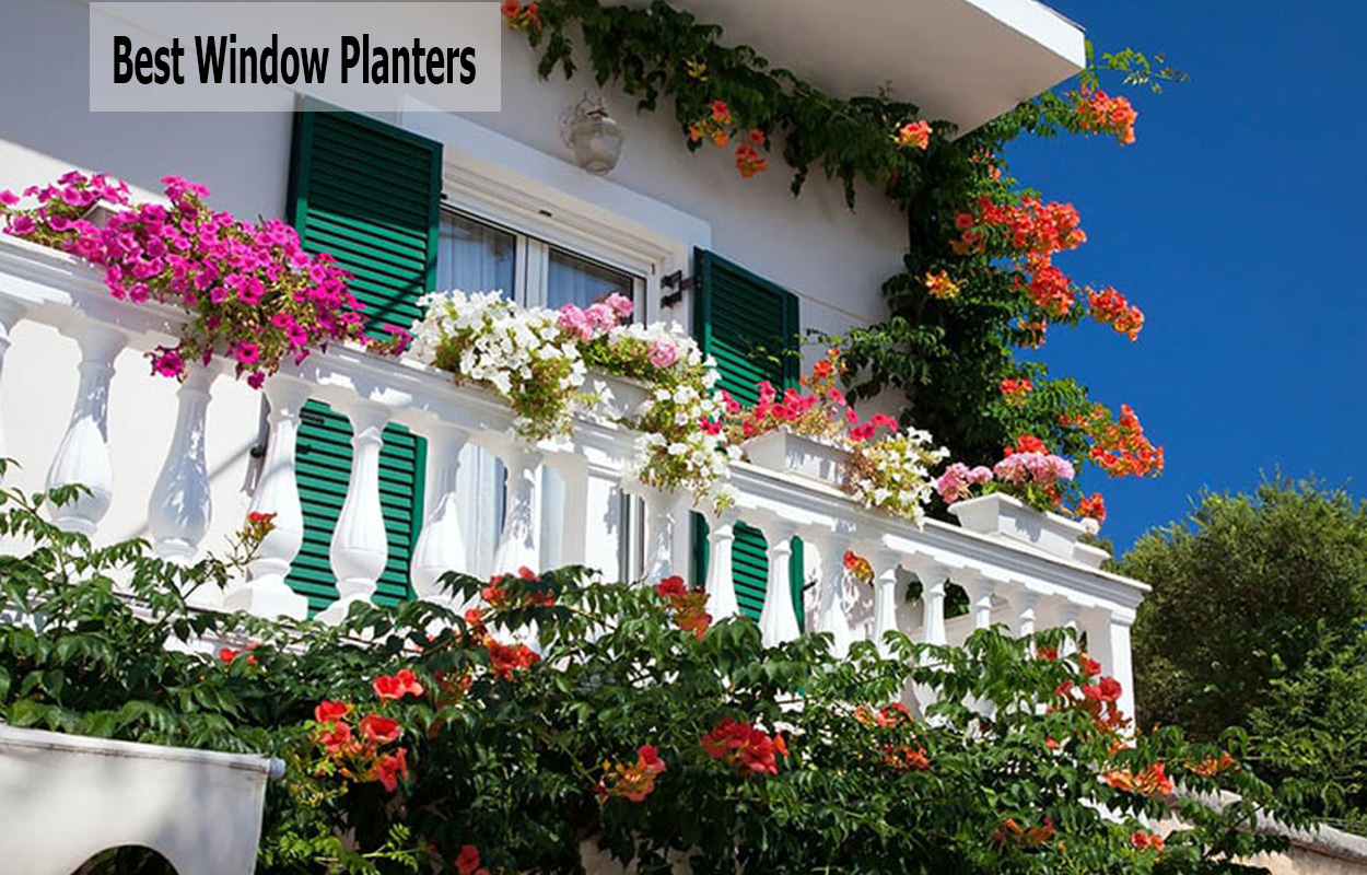 Best Window Planters