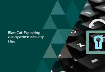 BlackCat Exploiting GoAnywhere Security Flaw