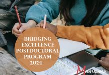 Bridging Excellence Postdoctoral Program 2024