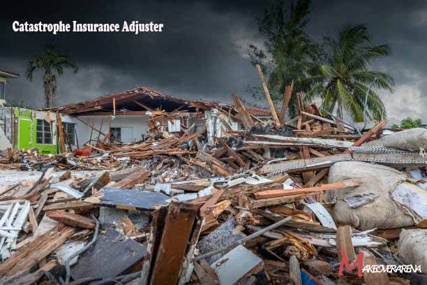 Catastrophe Insurance Adjuster