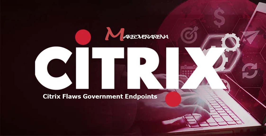 Citrix Flaws Government Endpoints