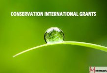 Conservation International Grants
