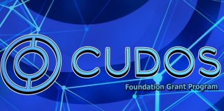 Cudos Foundation Grant Program