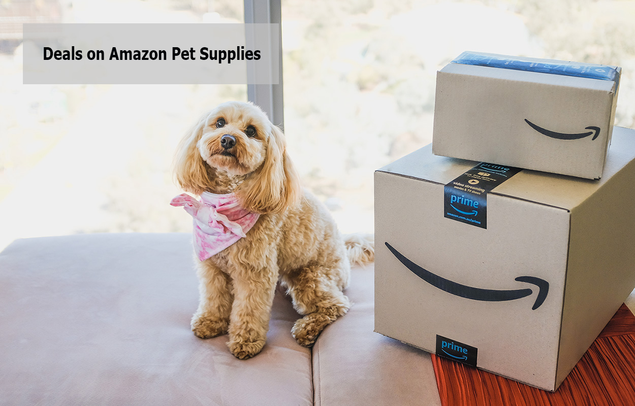 Deals on Amazon Pet Supplies