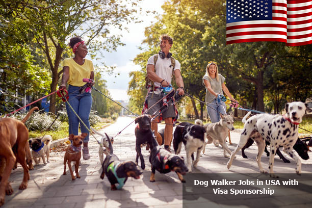 Dog Walker Jobs in USA with Visa Sponsorship 