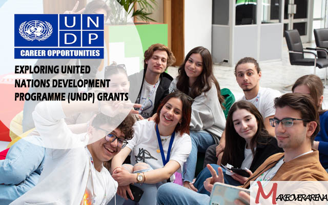 Exploring United Nations Development Programme (UNDP) Grants