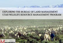 Exploring the Bureau of Land Management Utah Wildlife Resource Management Program