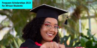 Ferguson Scholarships 2023 for African Students