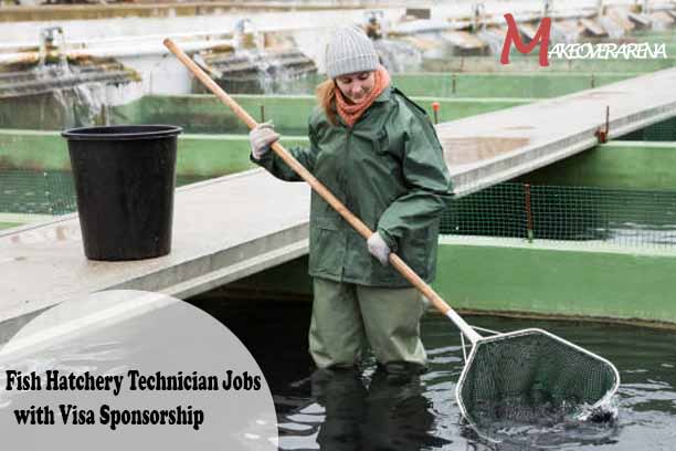 Fish Hatchery Technician Jobs with Visa Sponsorship