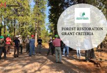 Forest Restoration Grants