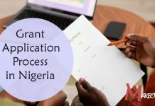 Grant Application Process in Nigeria