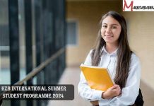HZB International Summer Student Programme 2024
