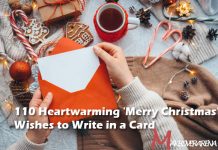Heartwarming 'Merry Christmas' Wishes to Write in a Card