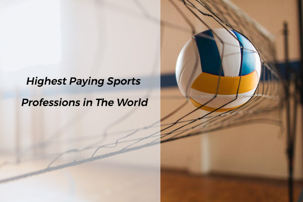 Highest Paying Sports Professions in The World