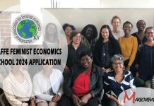 IAFFE Feminist Economics School 2024 Application