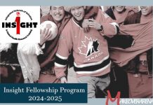 Insight Fellowship Program 2024-2025