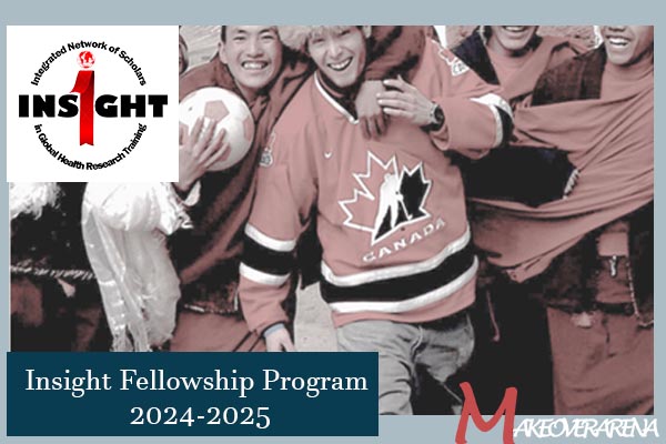 Insight Fellowship Program 2024-2025