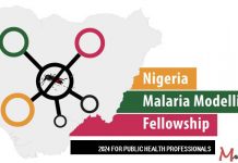 Malaria Modelling Fellowship 2024 for Public Health Professionals