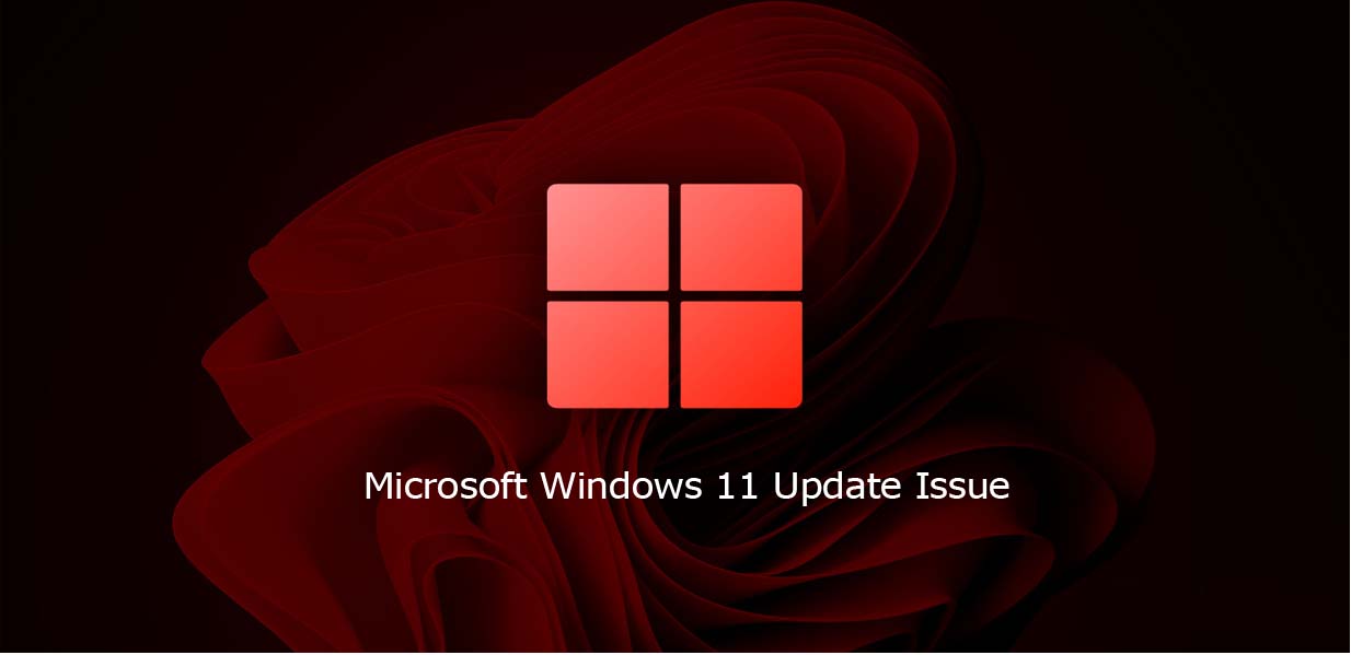 Microsoft Windows 11 Update Issue