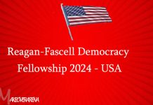 Reagan-Fascell Democracy Fellowship