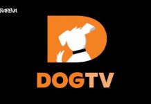 Save 82% on a Lifetime Subscription to DOGTV