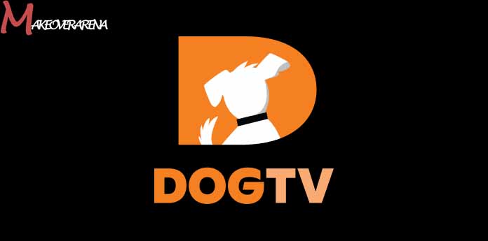 Save 82% on a Lifetime Subscription to DOGTV