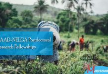 DAAD-NELGA Postdoctoral Research Fellowships