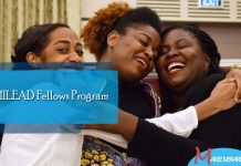 MILEAD Fellows Program