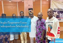 Osogbo Progressive Union Undergraduate Scholarship