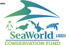 SeaWorld & Busch Gardens Conservation Fund