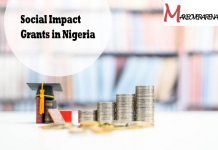 Social Impact Grants in Nigeria