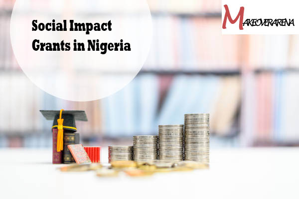Social Impact Grants in Nigeria