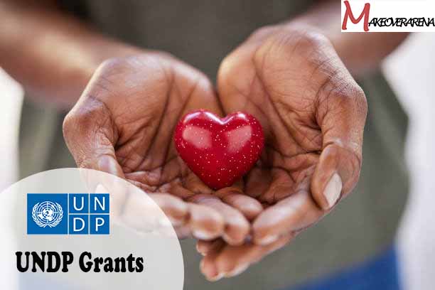 UNDP Grants