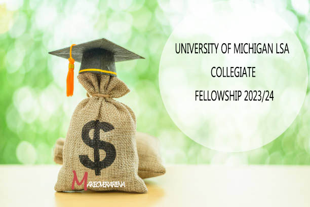 University of Michigan LSA Collegiate Fellowship
