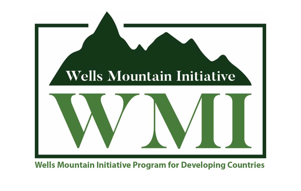 WMI Scholars Program