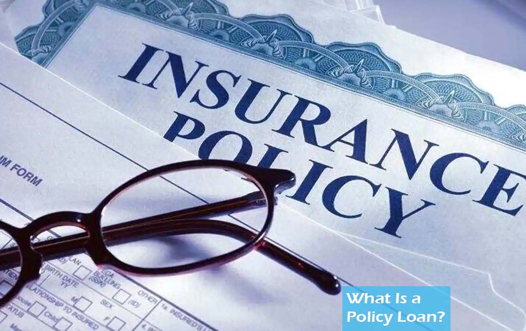 What Is a Policy Loan? 