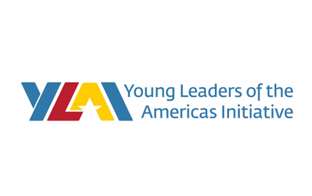 YLAI Fellowship Program