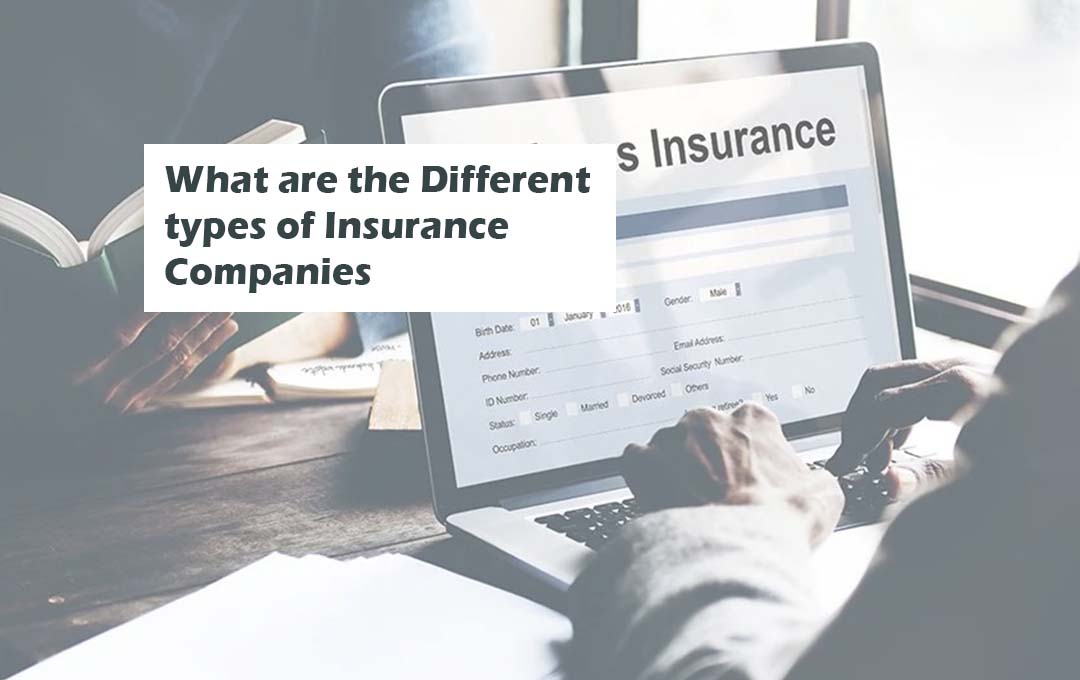 What are the Different types of Insurance Companies