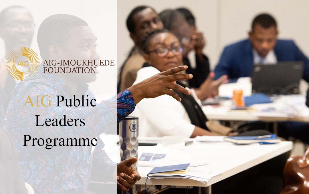 AIG Public Leaders Programme