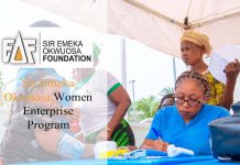 Sir Emeka Okwuosa Women Enterprise Program
