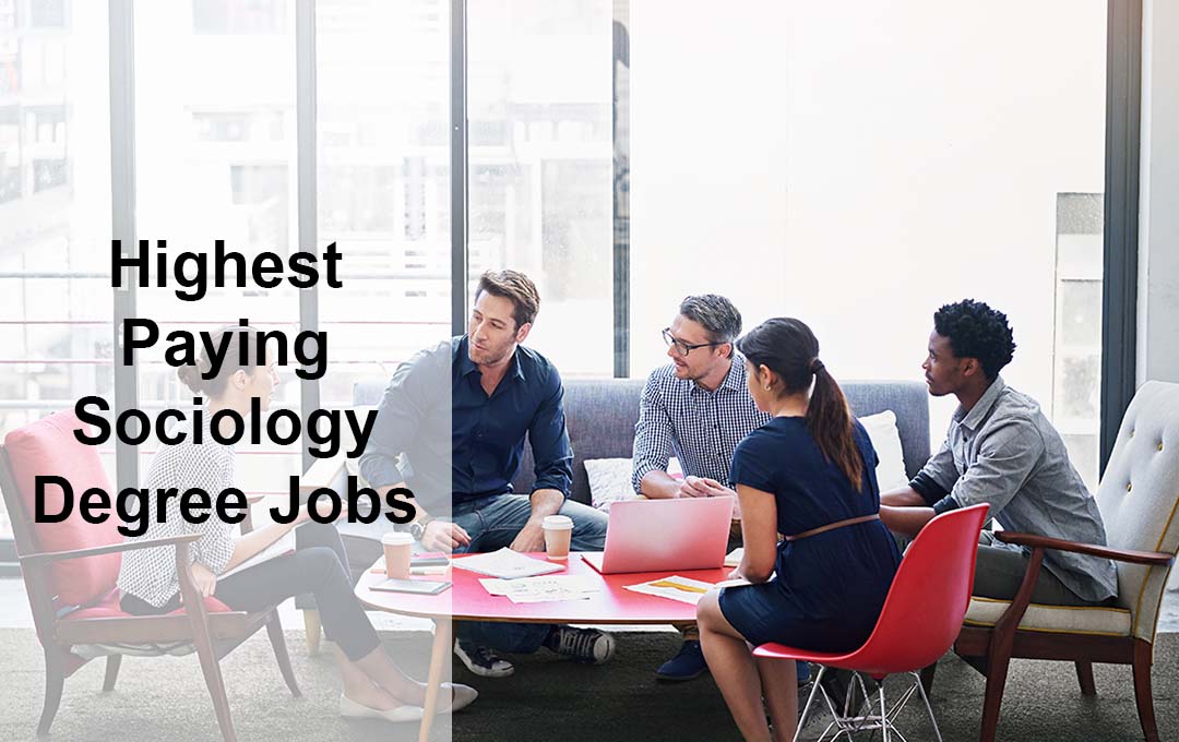 Highest Paying Sociology Degree Jobs